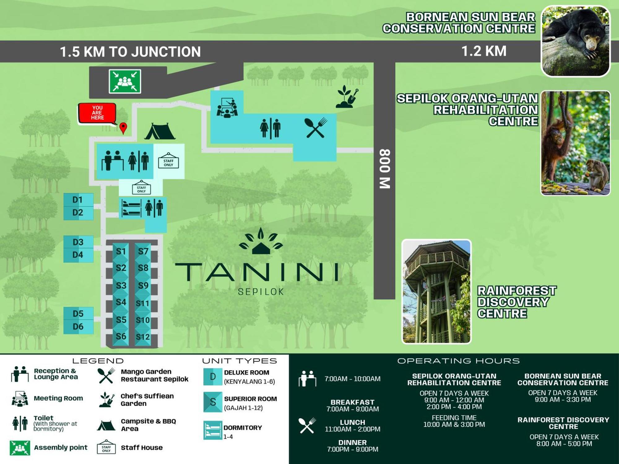 Tanini Sepilok Formerly Known As Nature Lodge Sepilok Extérieur photo